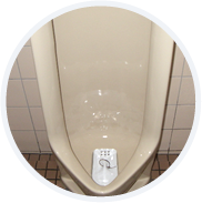 衛生陶器 洗浄+コーティング